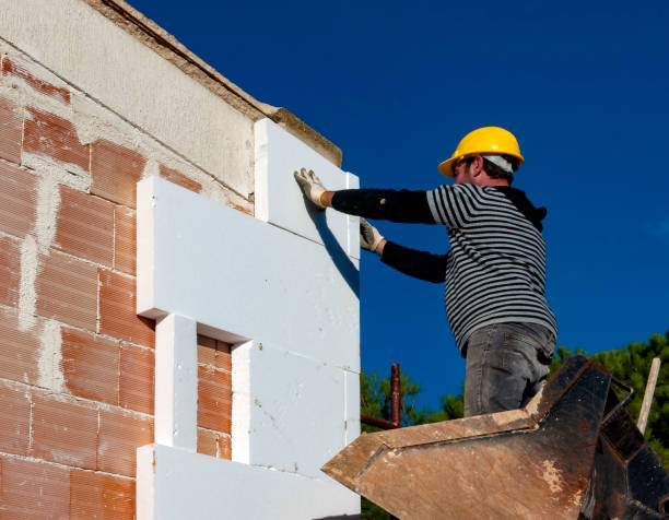 Best Attic Insulation Installation  in St Hedwig, TX