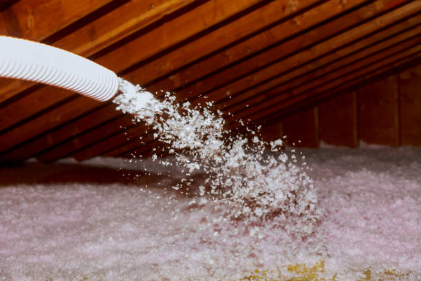 Best Spray Foam Insulation  in St Hedwig, TX