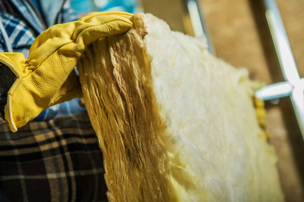 Best Blown-in Insulation  in St Hedwig, TX