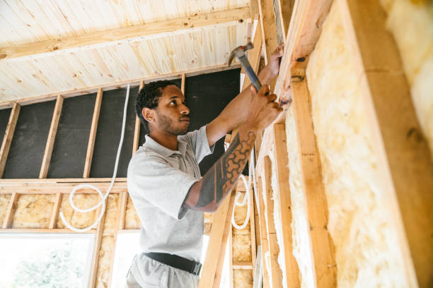 Best Local Insulation Services  in St Hedwig, TX