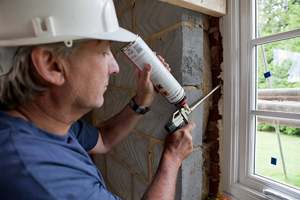 Best Home Insulation Services  in St Hedwig, TX