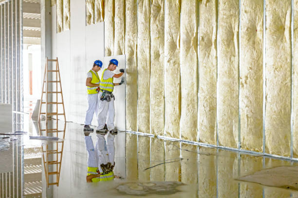 Best Home Insulation Services  in St Hedwig, TX